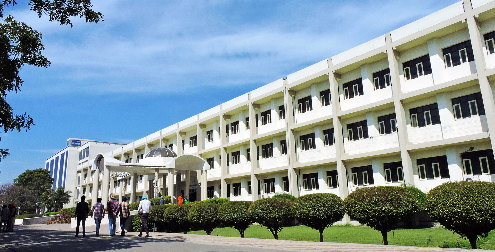 college image
